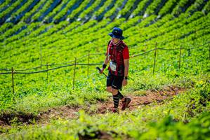 BIB: 
                            <button type="button" onclick="openModal(19161591)" class="btn btn-primary btn-sm float-right btn-popup" data-toggle="modal" data-target=".modal-high-quality">
                        <i class="fas fa-shopping-cart"></i> Add to Cart
                    </button>
                                            <button type="button" onclick="isThisMe(19161591, true)" class="btn btn-success btn-sm float-right btn-popup btn-isme hidden" data-toggle="tooltip" data-placement="bottom" title="นี่คือรูปของคุณใช่ไหม คลิกที่นี่เพื่อเอาเข้าอัลบั้ม">
                        <i class="fas fa-plus"></i> Add to album
                    </button>
                    <button type="button" onclick="isThisMe(19161591, false)" class="btn btn-warning btn-sm float-right btn-popup btn-isnotme hidden">
                        <i class="fas fa-ban"></i> Remove from album
                    </button>